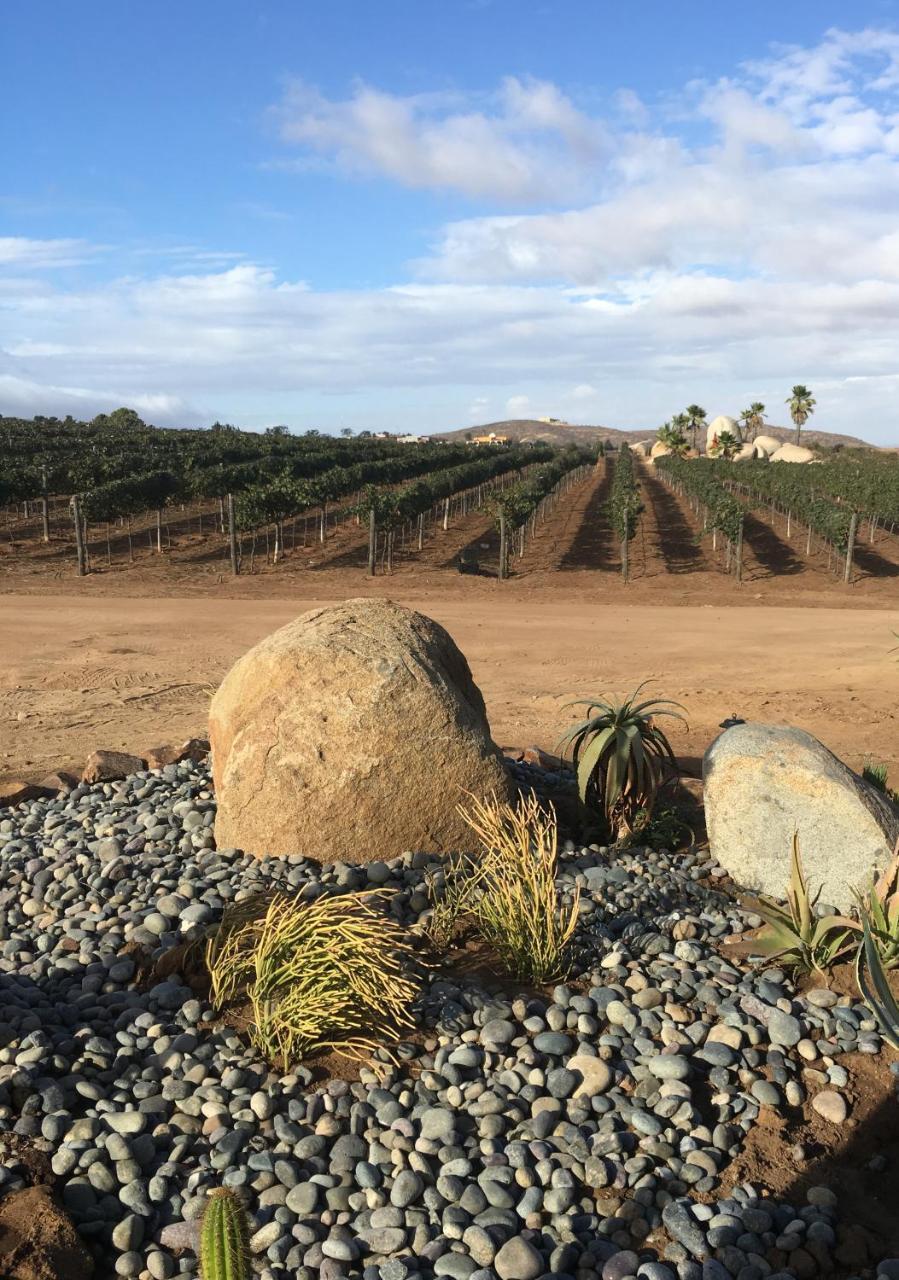 Отель En'Kanto Valle De Guadalupe Сан-Маркос Экстерьер фото